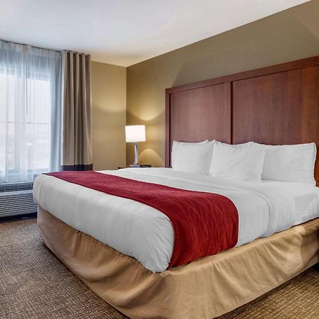 Comfort Inn & Suites Russellville I-40 Ngoại thất bức ảnh