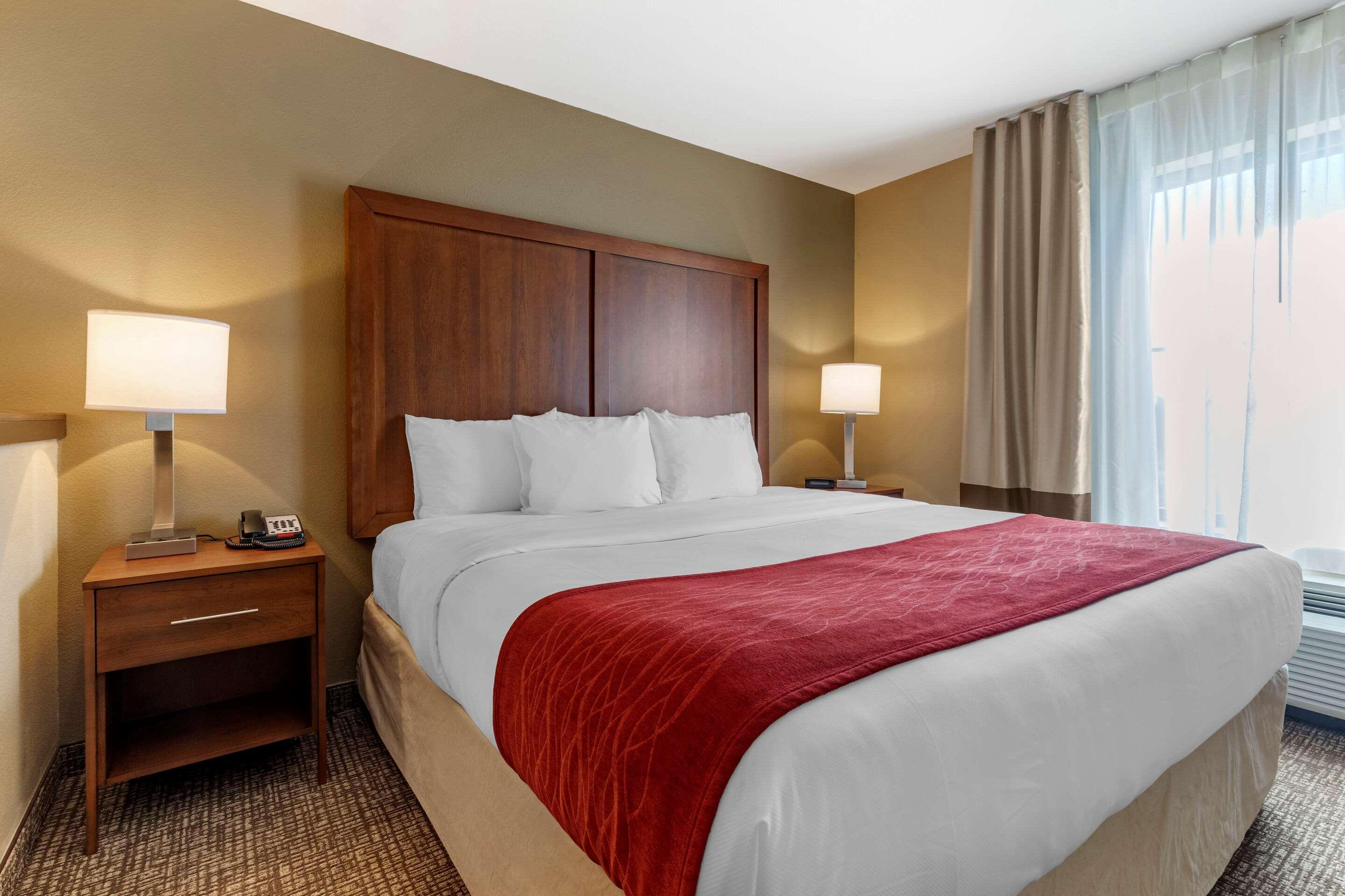 Comfort Inn & Suites Russellville I-40 Ngoại thất bức ảnh