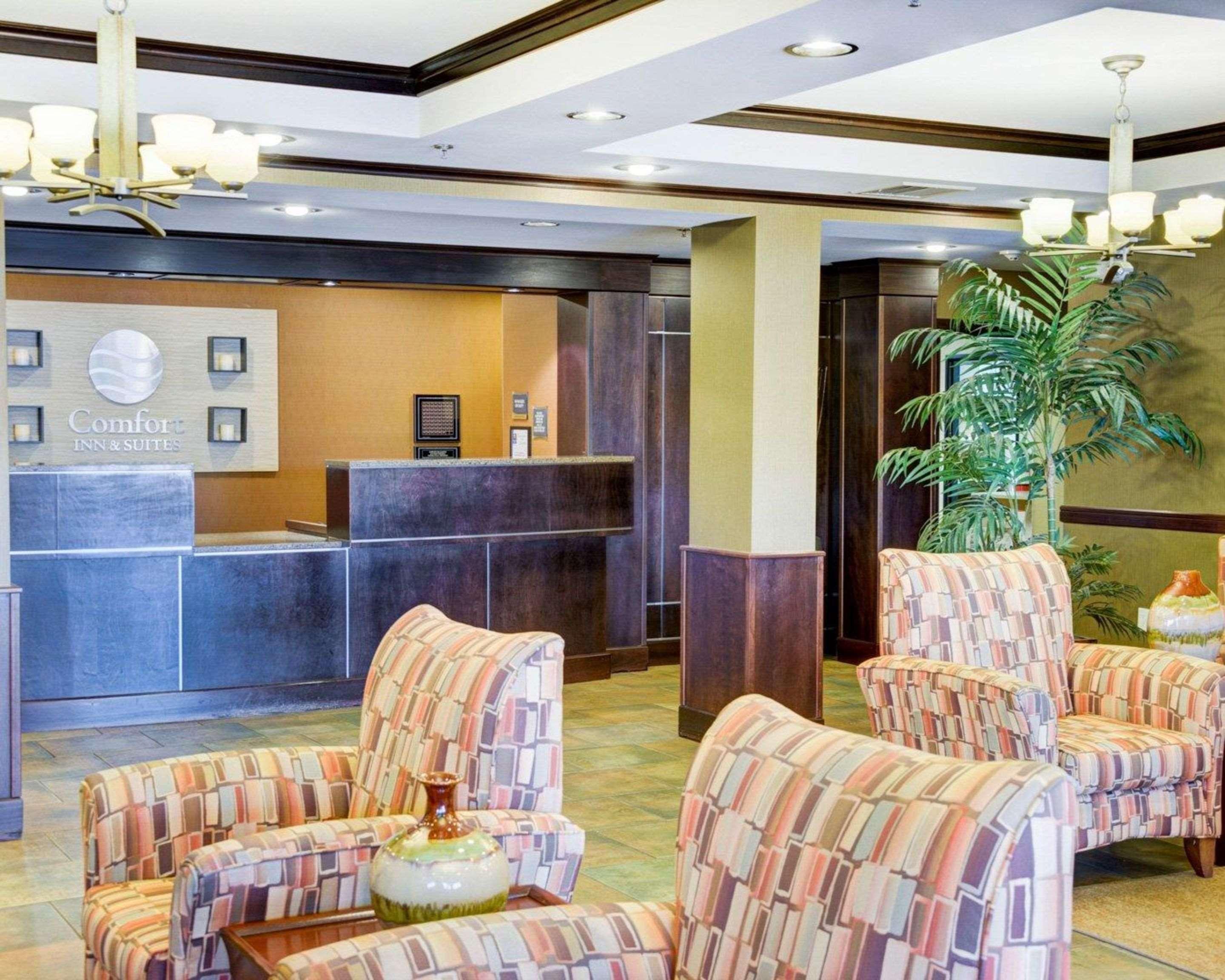 Comfort Inn & Suites Russellville I-40 Ngoại thất bức ảnh