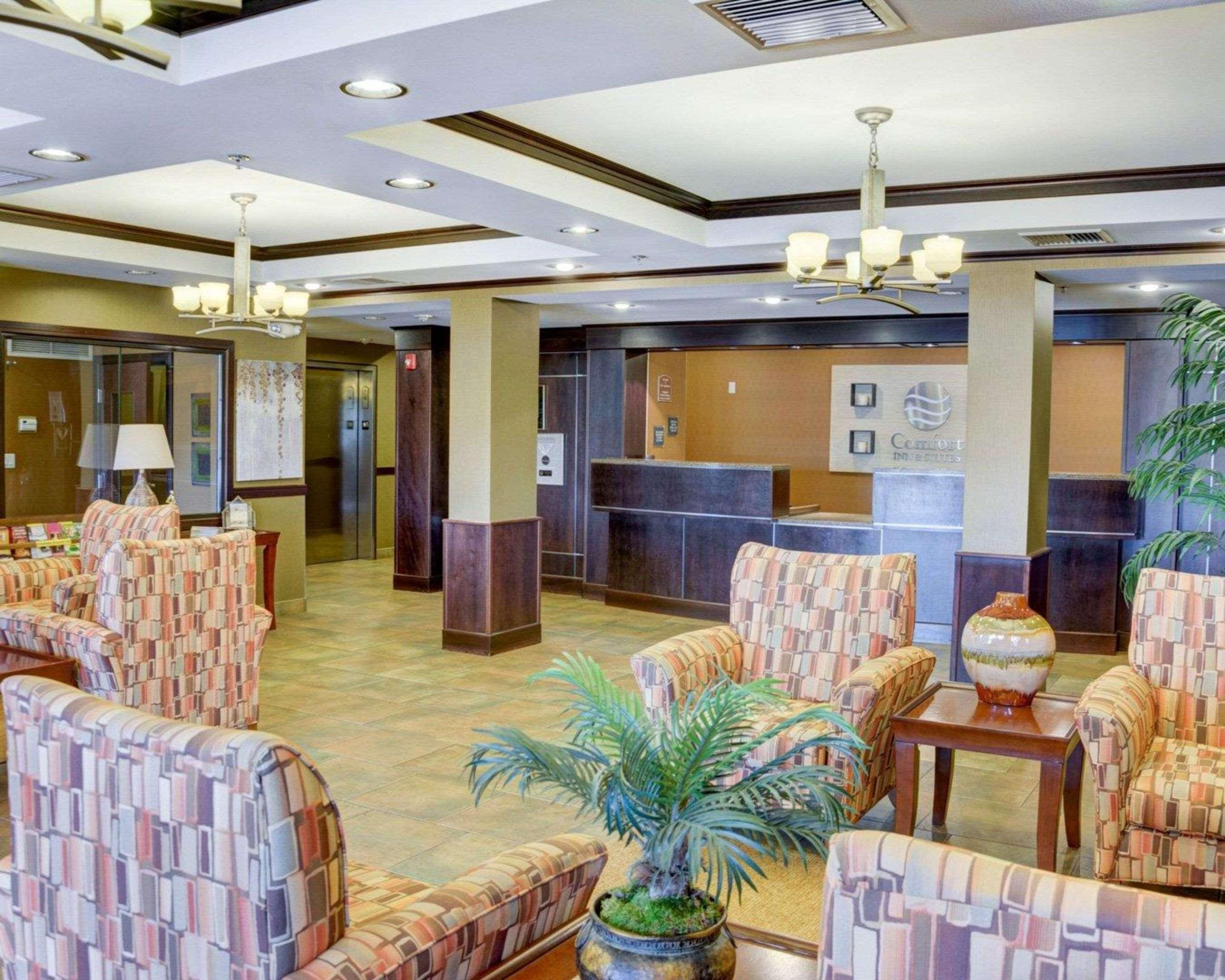 Comfort Inn & Suites Russellville I-40 Ngoại thất bức ảnh