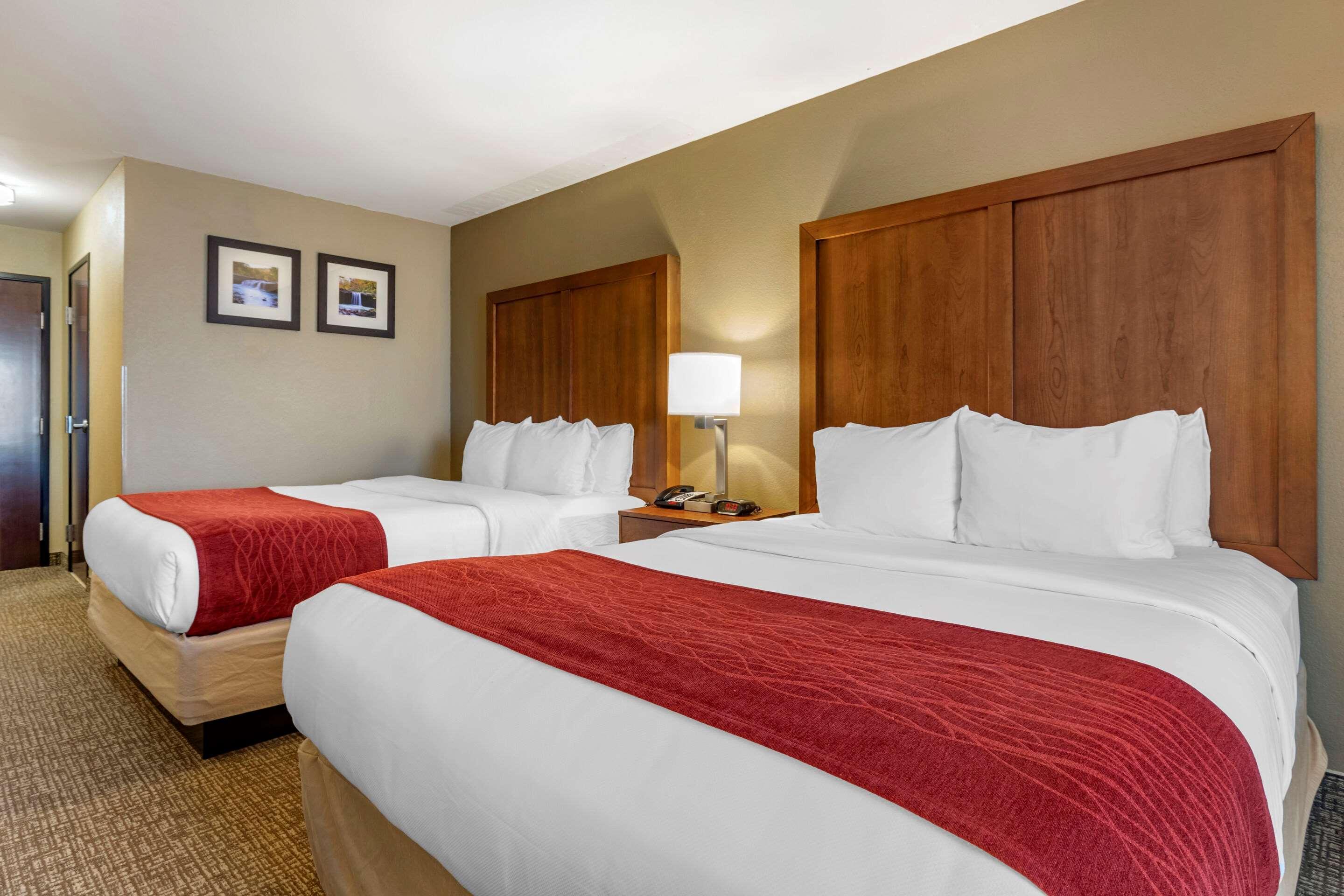 Comfort Inn & Suites Russellville I-40 Ngoại thất bức ảnh