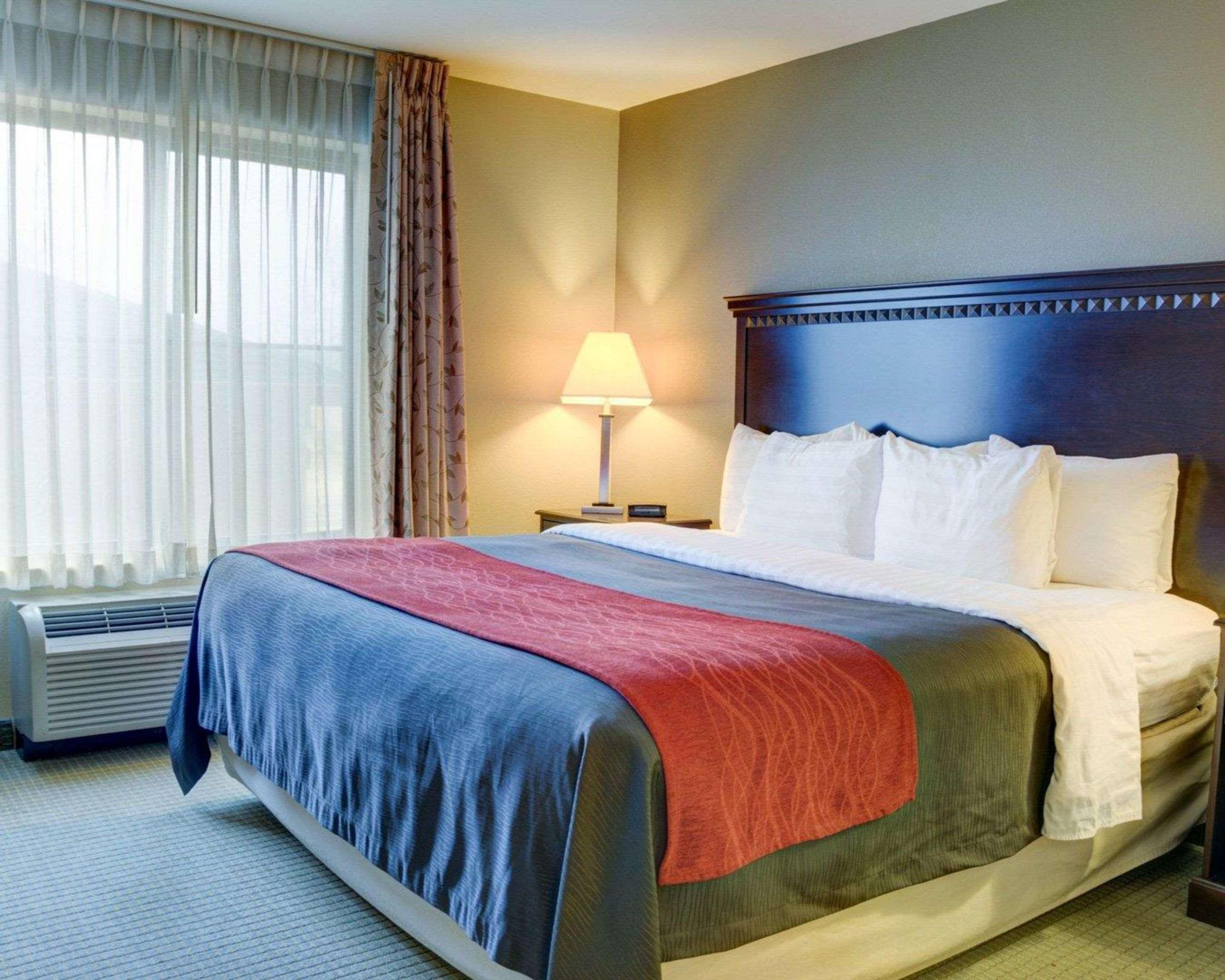Comfort Inn & Suites Russellville I-40 Ngoại thất bức ảnh