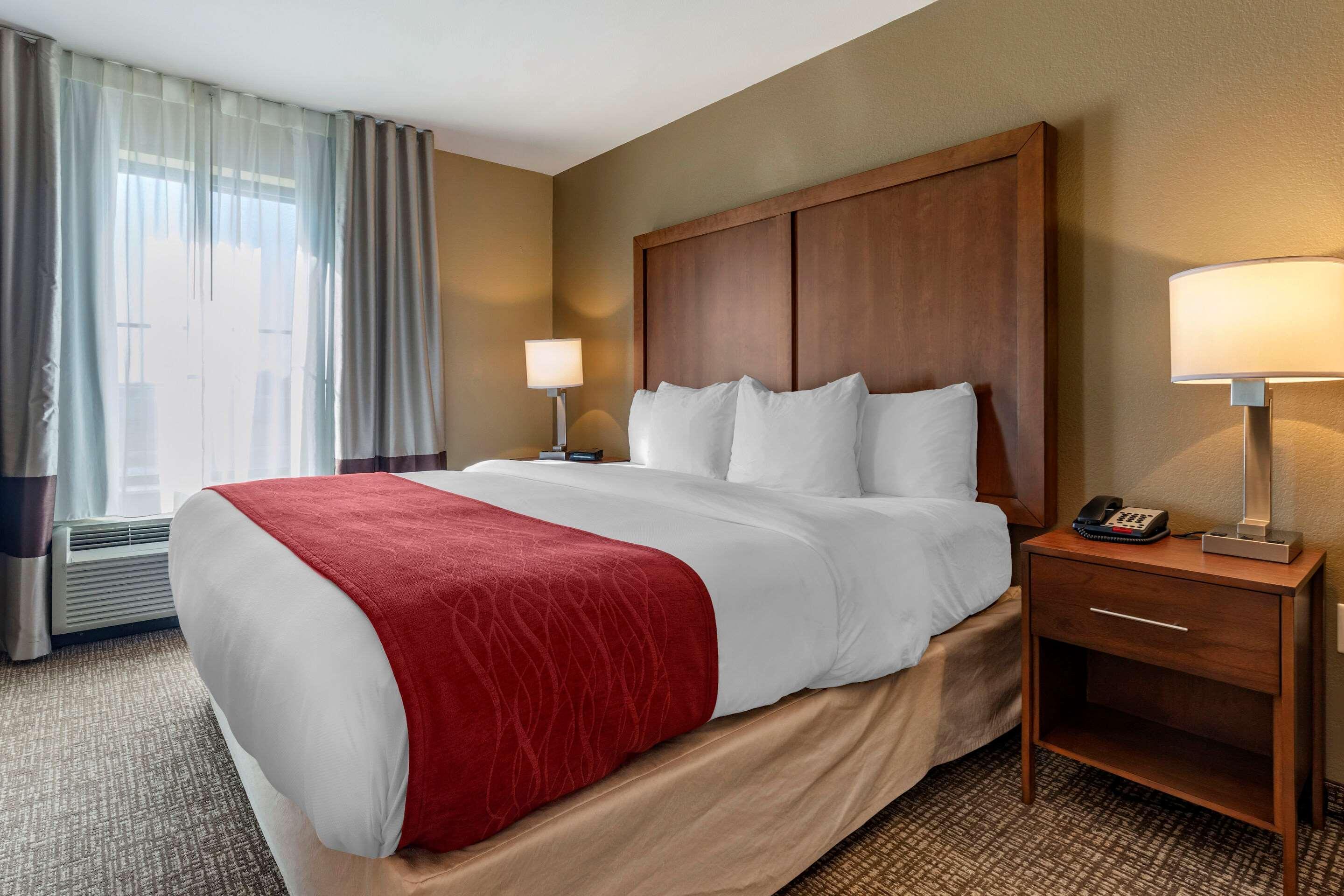 Comfort Inn & Suites Russellville I-40 Ngoại thất bức ảnh